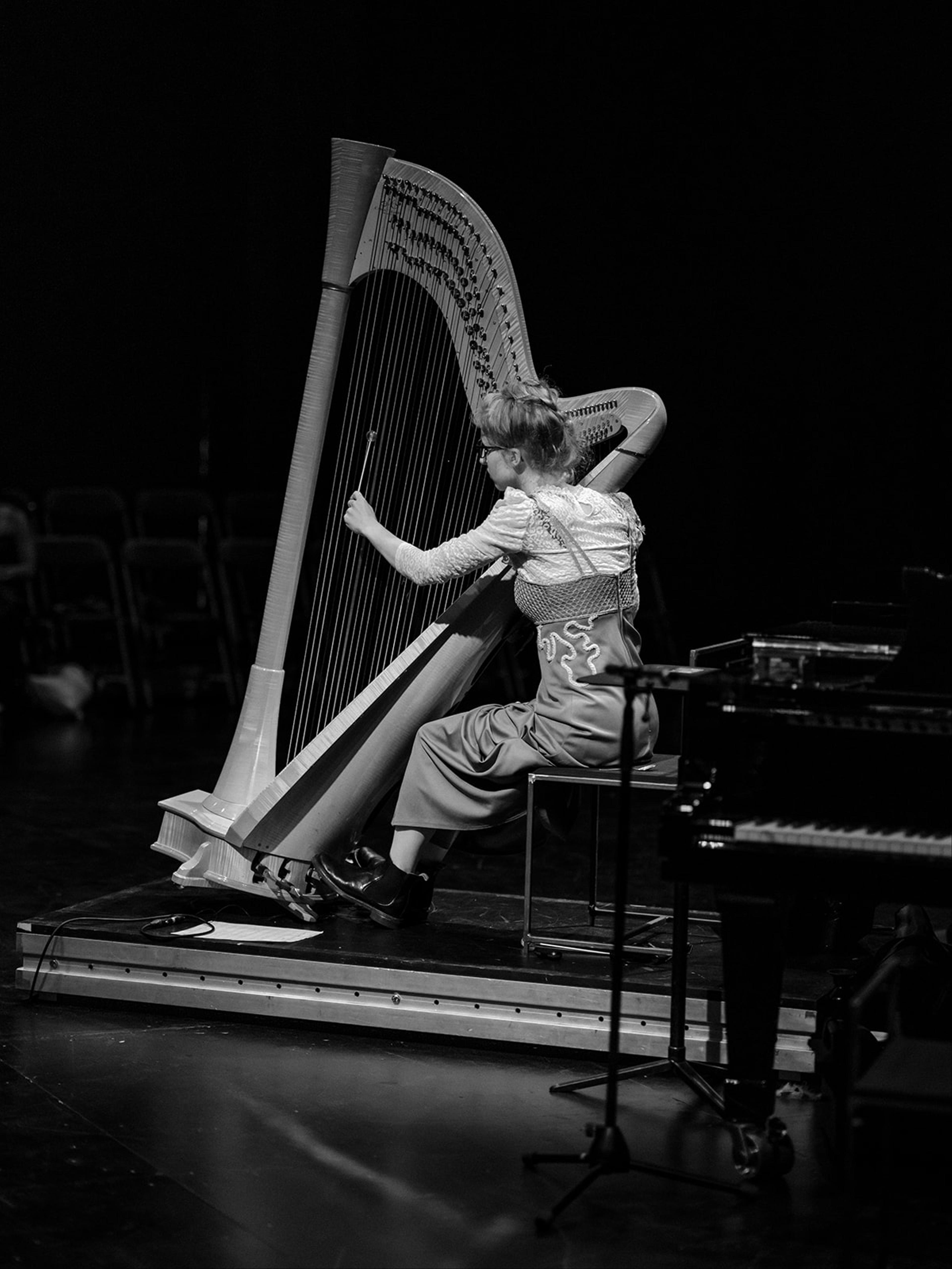 Harpist player