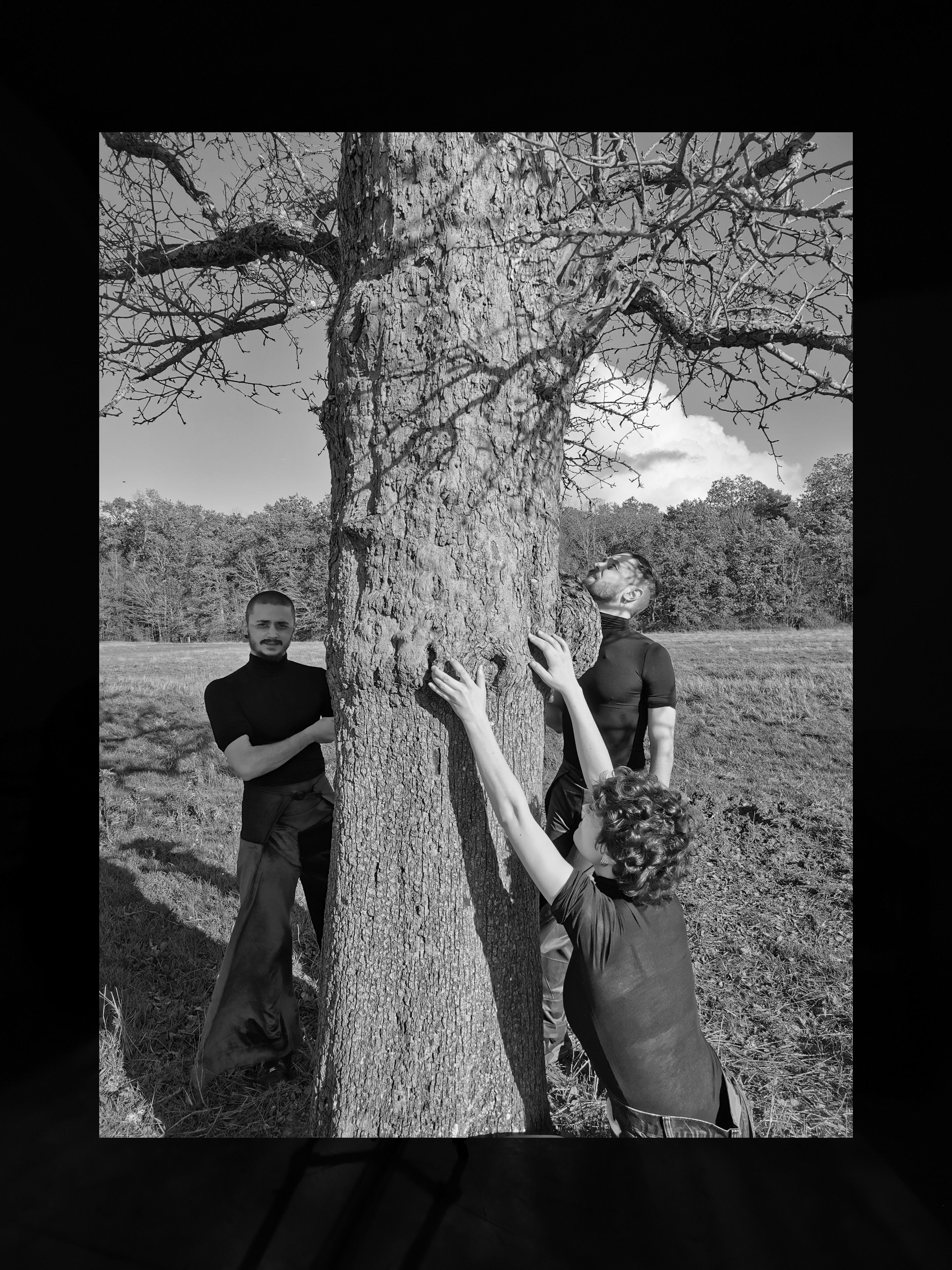 Denis Inghelbrecht, Ayla Vitale and Kevin Dekeyser choreographing around a dead tree.