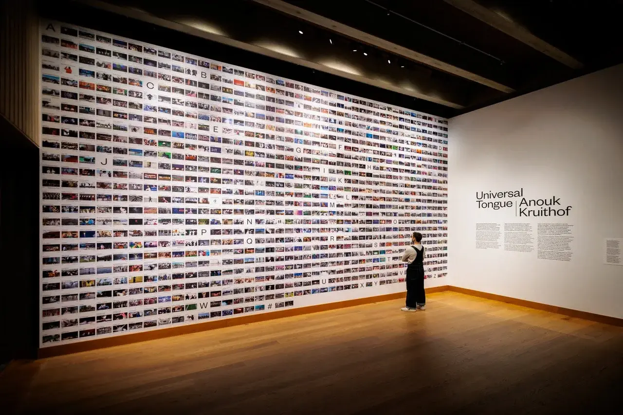 Anouk Kruidhof's installation at Universal Tongue - Museum aan de Stroom 2025